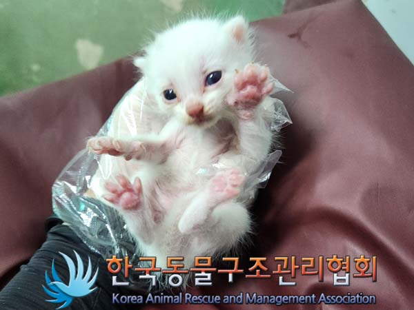 종료(자연사) 한국…